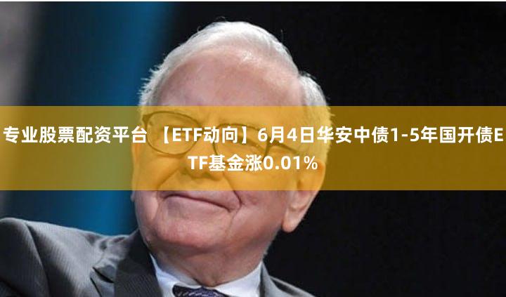 专业股票配资平台 【ETF动向】6月4日华安中债1-5年国开债ETF基金涨0.01%
