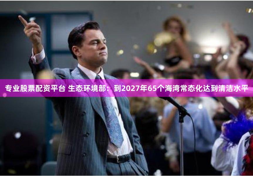 专业股票配资平台 生态环境部：到2027年65个海湾常态化达到清洁水平