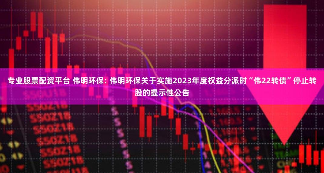 专业股票配资平台 伟明环保: 伟明环保关于实施2023年度权益分派时“伟22转债”停止转股的提示性公告