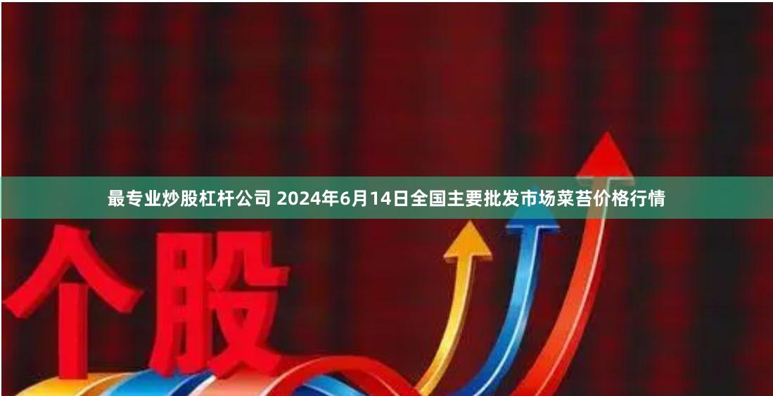 最专业炒股杠杆公司 2024年6月14日全国主要批发市场菜苔价格行情
