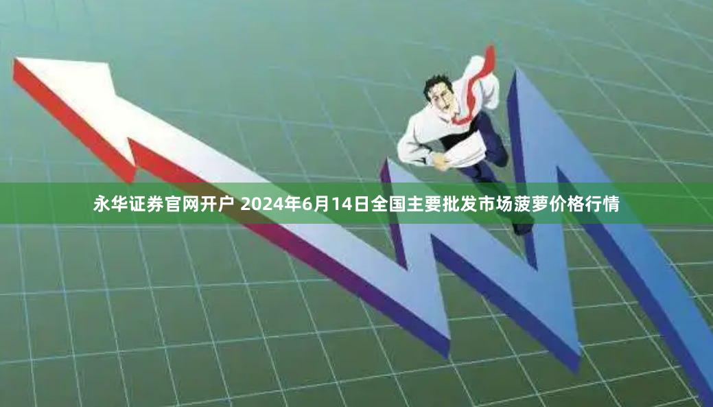 永华证券官网开户 2024年6月14日全国主要批发市场菠萝价格行情