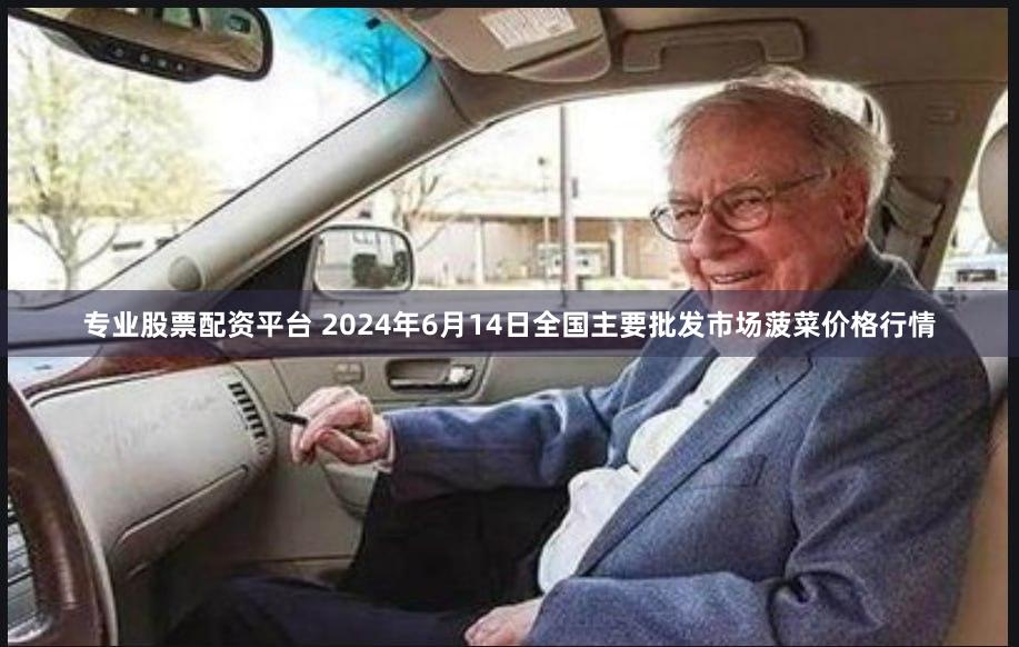 专业股票配资平台 2024年6月14日全国主要批发市场菠菜价格行情