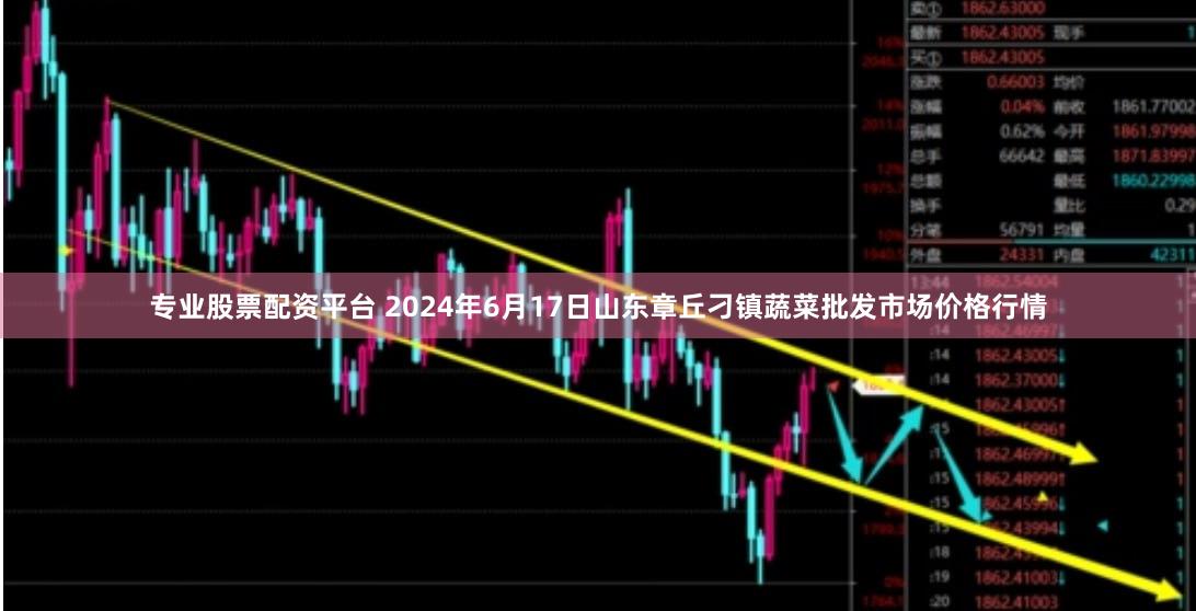 专业股票配资平台 2024年6月17日山东章丘刁镇蔬菜批发市场价格行情