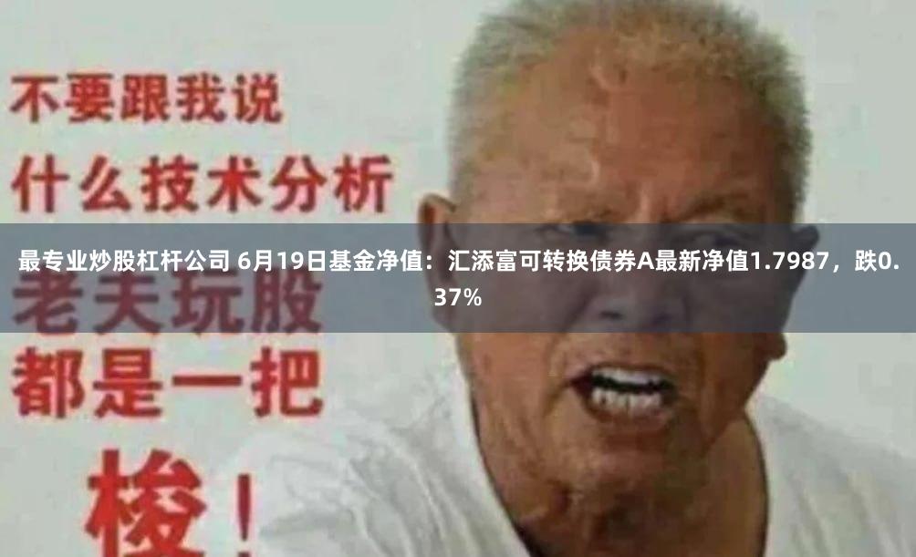最专业炒股杠杆公司 6月19日基金净值：汇添富可转换债券A最新净值1.7987，跌0.37%