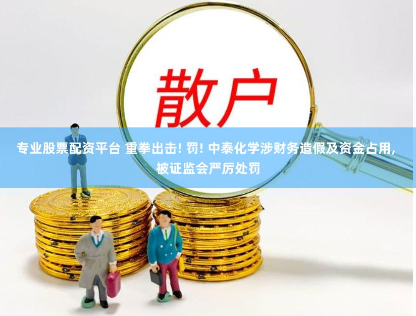 专业股票配资平台 重拳出击! 罚! 中泰化学涉财务造假及资金占用, 被证监会严厉处罚