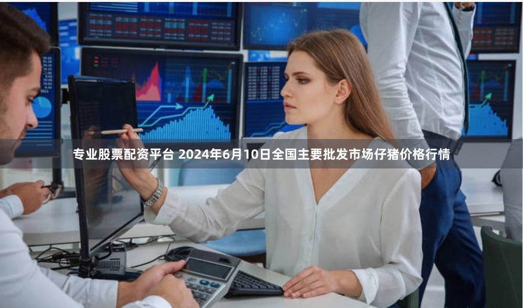专业股票配资平台 2024年6月10日全国主要批发市场仔猪价格行情