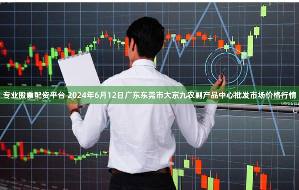 专业股票配资平台 2024年6月12日广东东莞市大京九农副产品中心批发市场价格行情