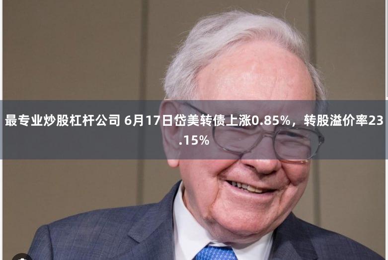 最专业炒股杠杆公司 6月17日岱美转债上涨0.85%，转股溢价率23.15%