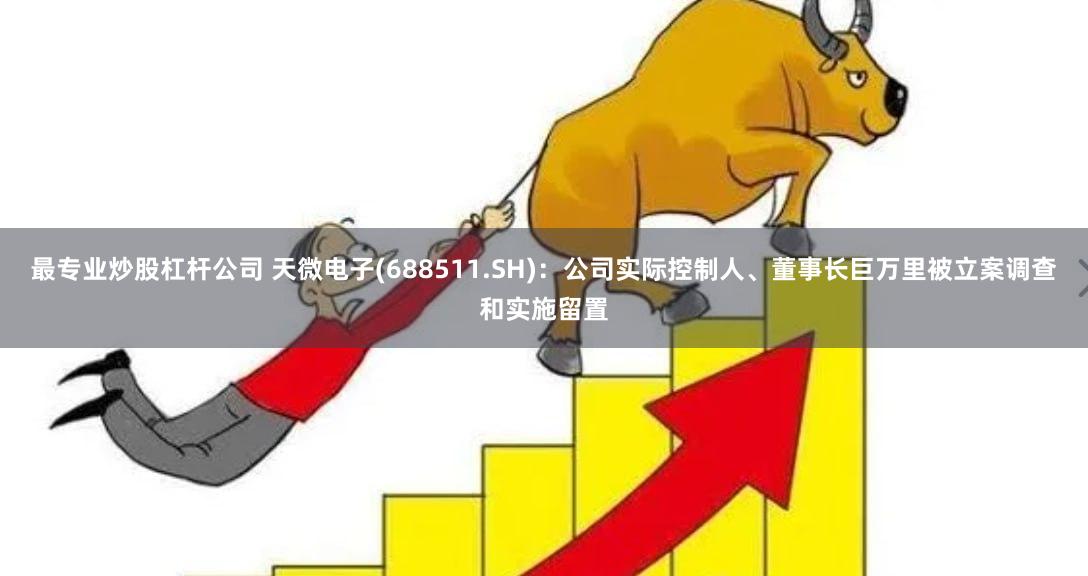 最专业炒股杠杆公司 天微电子(688511.SH)：公司实际控制人、董事长巨万里被立案调查和实施留置