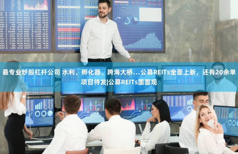 最专业炒股杠杆公司 水利、孵化器、跨海大桥…公募REITs全面上新，还有20余单项目待发|公募REITs面面观