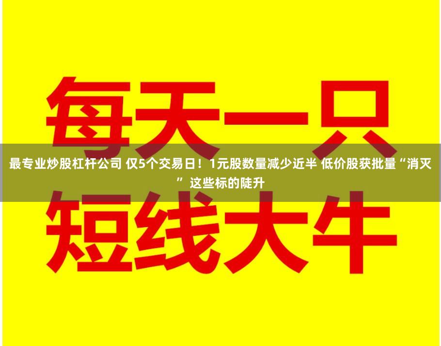最专业炒股杠杆公司 仅5个交易日！1元股数量减少近半 低价股获批量“消灭” 这些标的陡升