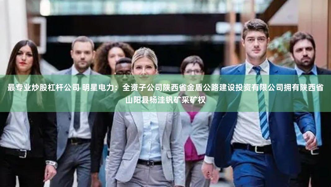 最专业炒股杠杆公司 明星电力：全资子公司陕西省金盾公路建设投资有限公司拥有陕西省山阳县杨洼钒矿采矿权