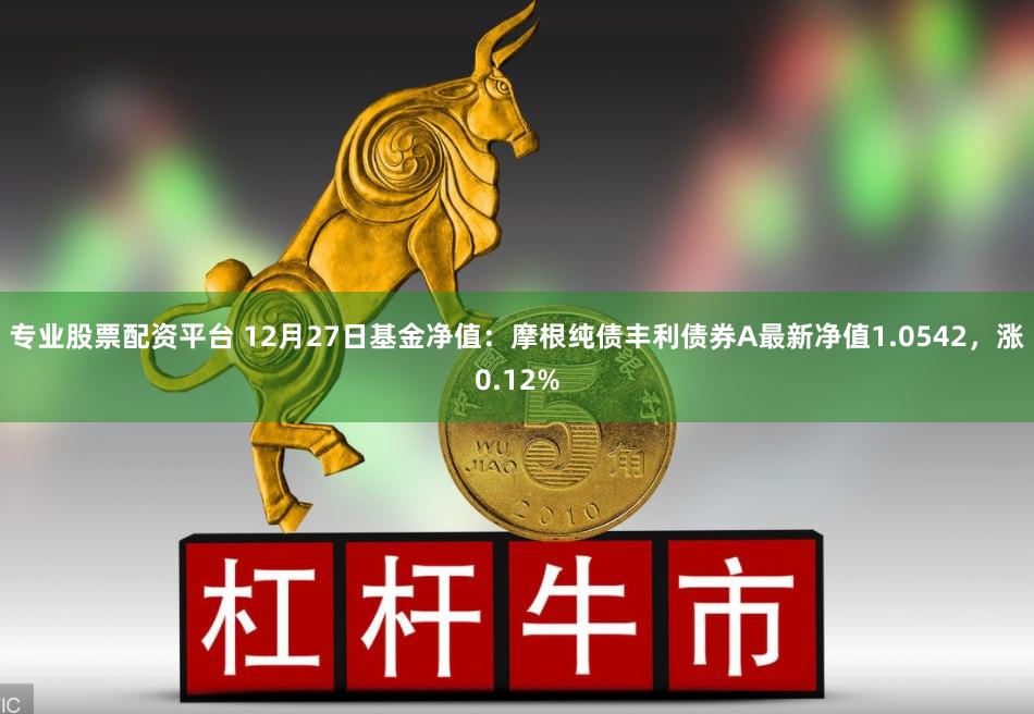 专业股票配资平台 12月27日基金净值：摩根纯债丰利债券A最新净值1.0542，涨0.12%