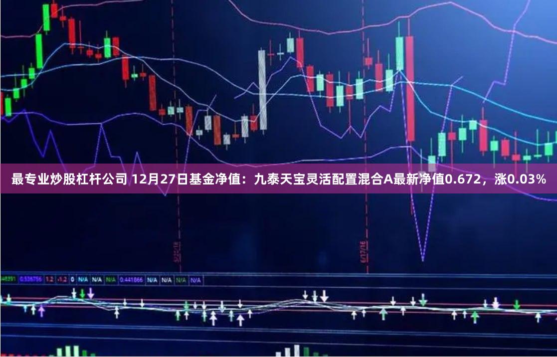 最专业炒股杠杆公司 12月27日基金净值：九泰天宝灵活配置混合A最新净值0.672，涨0.03%