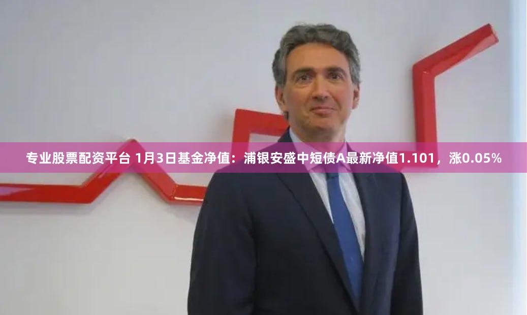 专业股票配资平台 1月3日基金净值：浦银安盛中短债A最新净值1.101，涨0.05%