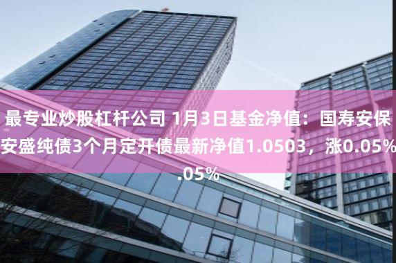 最专业炒股杠杆公司 1月3日基金净值：国寿安保安盛纯债3个月定开债最新净值1.0503，涨0.05%