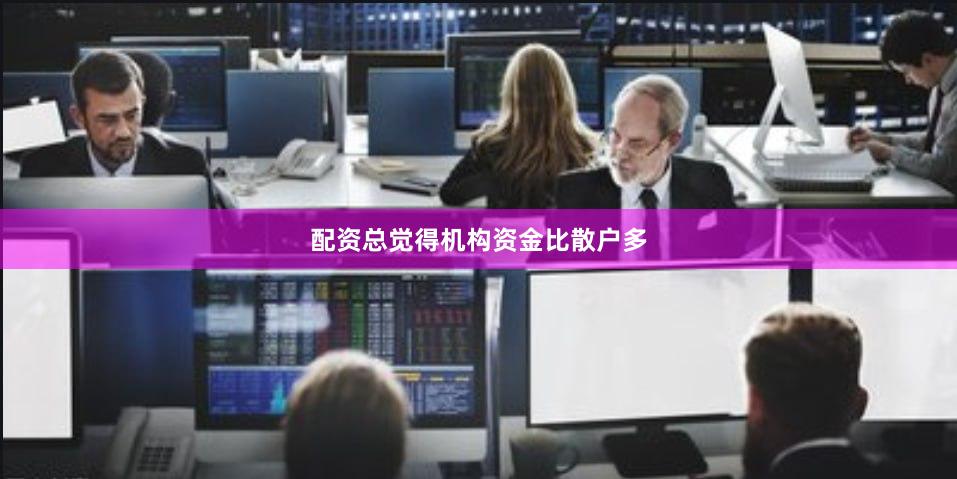 配资总觉得机构资金比散户多